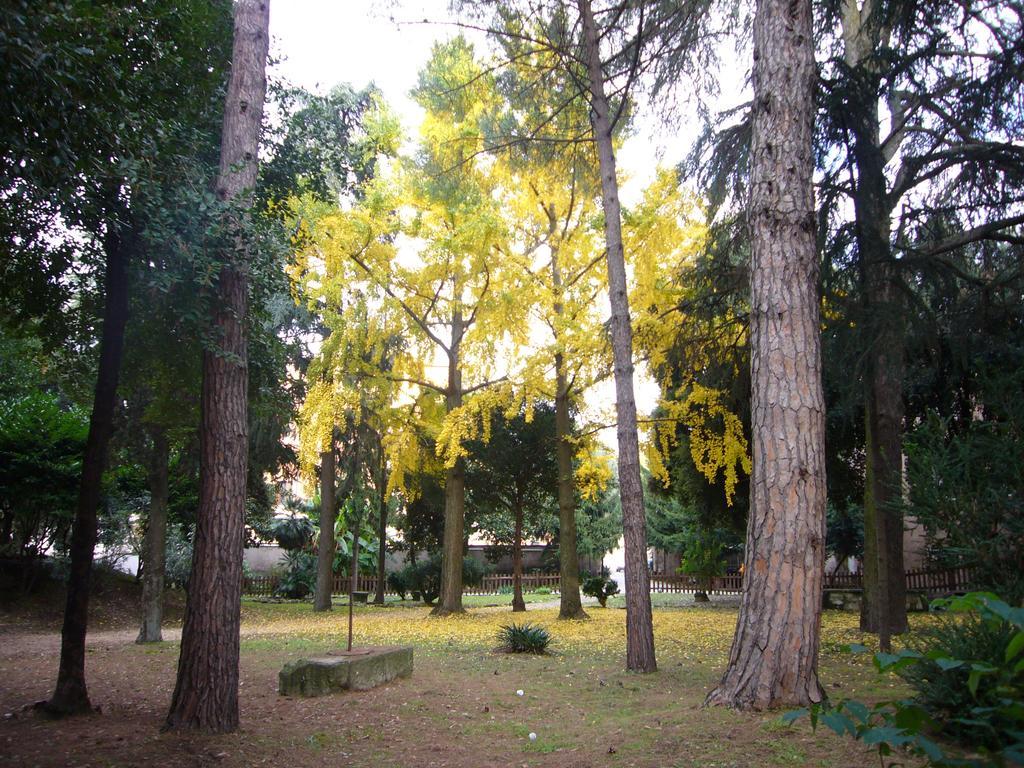 Villa Altieri Albano Laziale Exteriér fotografie