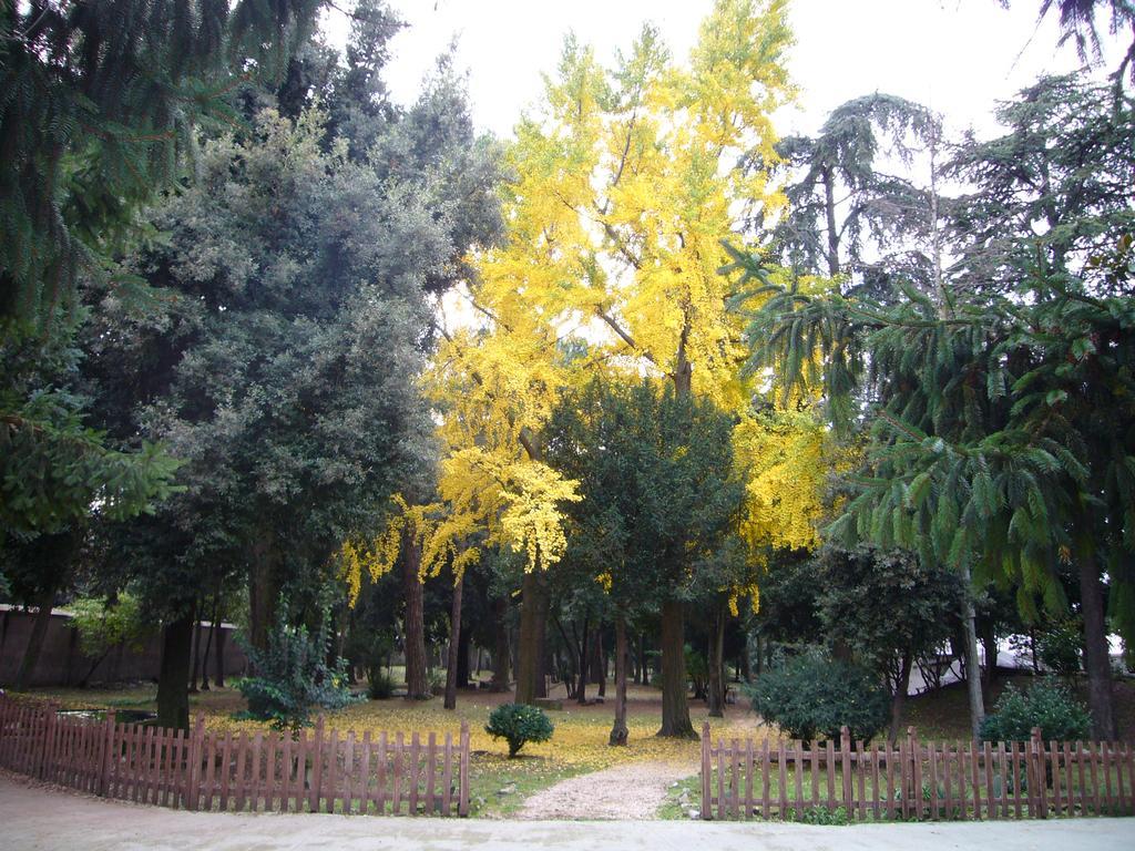 Villa Altieri Albano Laziale Exteriér fotografie
