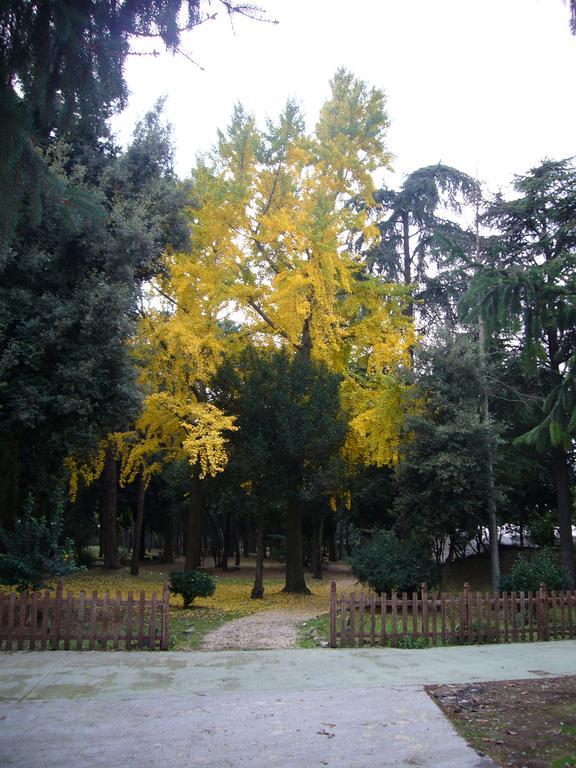 Villa Altieri Albano Laziale Exteriér fotografie