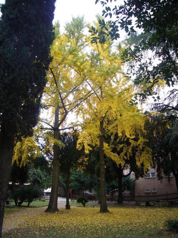 Villa Altieri Albano Laziale Exteriér fotografie