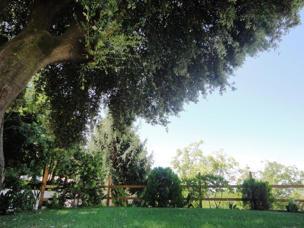 Villa Altieri Albano Laziale Exteriér fotografie